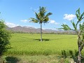 Moedertje natuur tussen Empang en Sumbawa Besar...