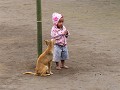 Een kind en een hond....