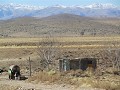 IMG 4737 (Small)