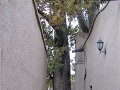 IMG 2743 (Small)