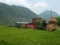 P1080544 (Medium)