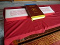 P1070646 (Medium)
