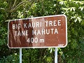 De Tane Mahuta een prachtige Kauri boom.....