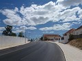 P1090921 (Small)