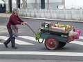 P1100278 (Small)