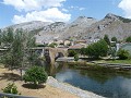 P1110595 (Small)