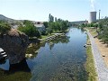 P1110585 (Small)