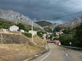 P1110761 (Small)