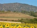 P1120064 (Small)