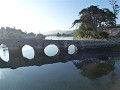 P1100563 (Small)