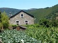 P1110167 (Small)