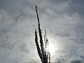 P1110223 (Small)