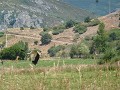 P1110486 (Small)