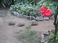 img 0063  small 