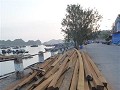 P1150095 (Small)