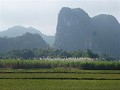 P1160184 (Small)