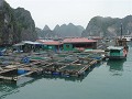 P1150187 (Small)