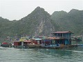 P1150185 (Small)