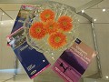 P1150674 (Small)