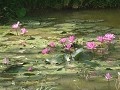 P1160256 (Small)