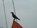 P1150311 (Small)
