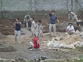 P1150732 (Small)