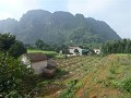 P1150743 (Small)