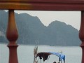P1150338 (Small)