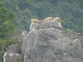P1150476 (Small)