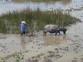 P1160386 (Small)
