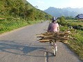 P1150818 (Small)