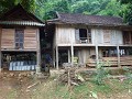 P1150947 (Small)