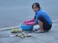 P1140818 (Small)