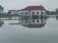 P1160604 (Small)