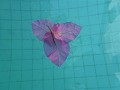 P1170552 (Small)