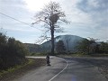P1170251 (Small)