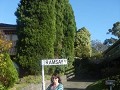 Aisling on Ramsey St 