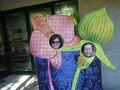 Aisling and Lorna in Botanical Gardens acting thei