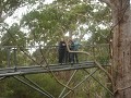 The Tree-Top walk in the Valley of Giants