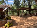 C339F9A5-E854-4513-B295-6D1D39CB897C