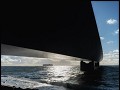 onder de Grote Belt brug