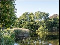 kasteeltuin