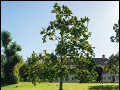 kasteeltuin