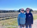 Mont Ventoux .... en wij 