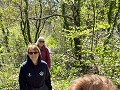 dwars door het bos