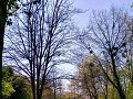 mooie wandelweg langs de Aure