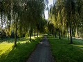 voie verte 2