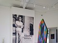 de inkom van de expo van Victor Vasarely