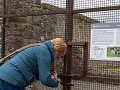 Het hek van Dunbrody Abbey openen