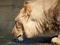 DSCF1395